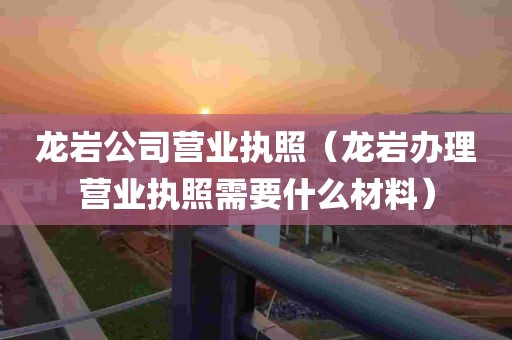 龙岩公司营业执照（龙岩办理营业执照需要什么材料）