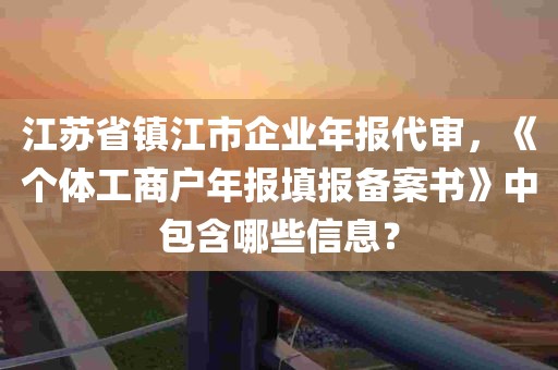 江苏省镇江市企业年报代审，《个体工商户年报填报备案书》中包含哪些信息？