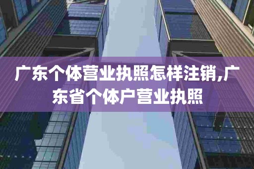 广东个体营业执照怎样注销,广东省个体户营业执照
