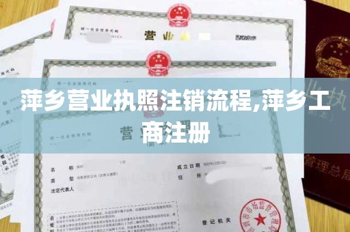 萍乡营业执照注销流程,萍乡工商注册