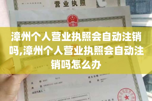 漳州个人营业执照会自动注销吗,漳州个人营业执照会自动注销吗怎么办