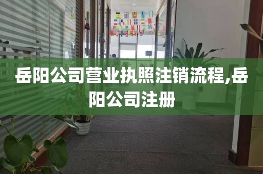 岳阳公司营业执照注销流程,岳阳公司注册