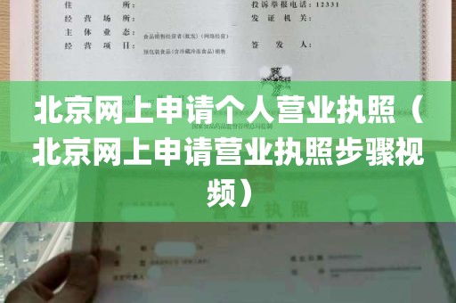 北京网上申请个人营业执照（北京网上申请营业执照步骤视频）