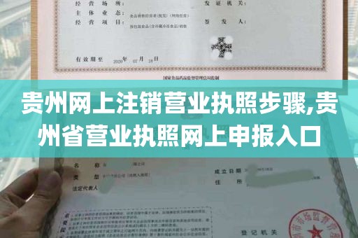 贵州网上注销营业执照步骤,贵州省营业执照网上申报入口