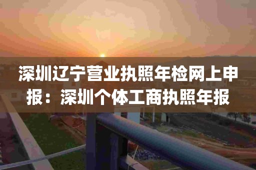 深圳辽宁营业执照年检网上申报：深圳个体工商执照年报