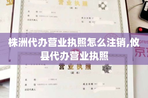 株洲代办营业执照怎么注销,攸县代办营业执照