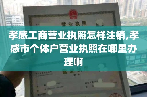 孝感工商营业执照怎样注销,孝感市个体户营业执照在哪里办理啊