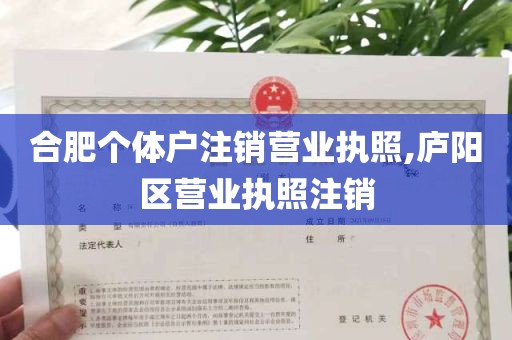 合肥个体户注销营业执照,庐阳区营业执照注销