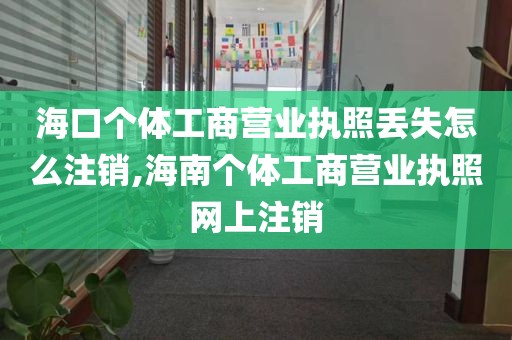 海口个体工商营业执照丢失怎么注销,海南个体工商营业执照网上注销