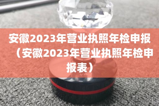 安徽2023年营业执照年检申报（安徽2023年营业执照年检申报表）