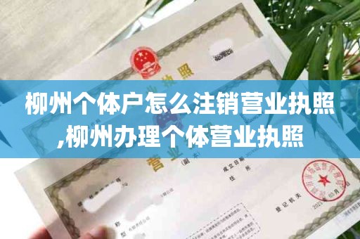 柳州个体户怎么注销营业执照,柳州办理个体营业执照