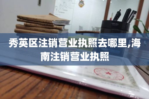 秀英区注销营业执照去哪里,海南注销营业执照