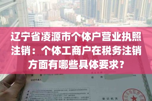 辽宁省凌源市个体户营业执照注销：个体工商户在税务注销方面有哪些具体要求？