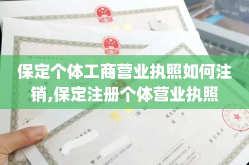 保定个体工商营业执照如何注销,保定注册个体营业执照