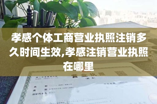 孝感个体工商营业执照注销多久时间生效,孝感注销营业执照在哪里