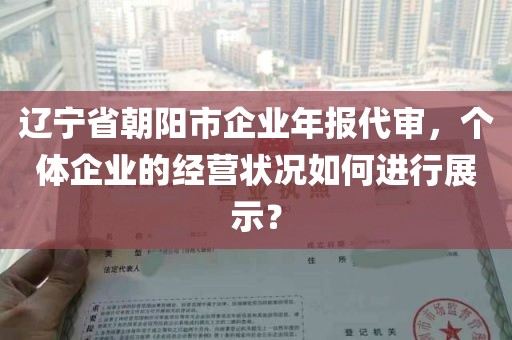辽宁省朝阳市企业年报代审，个体企业的经营状况如何进行展示？