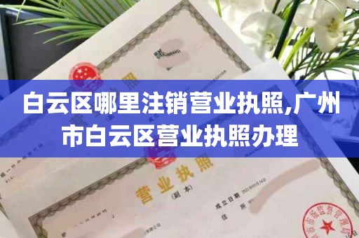 白云区哪里注销营业执照,广州市白云区营业执照办理