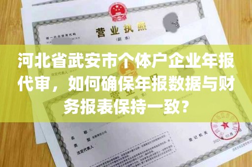 河北省武安市个体户企业年报代审，如何确保年报数据与财务报表保持一致？