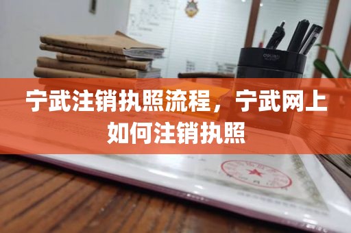 宁武注销执照流程，宁武网上如何注销执照