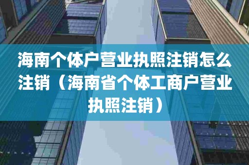 海南个体户营业执照注销怎么注销（海南省个体工商户营业执照注销）