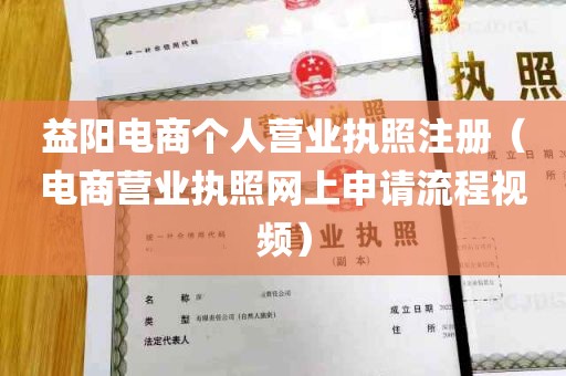 益阳电商个人营业执照注册（电商营业执照网上申请流程视频）