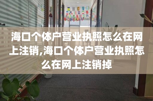 海口个体户营业执照怎么在网上注销,海口个体户营业执照怎么在网上注销掉