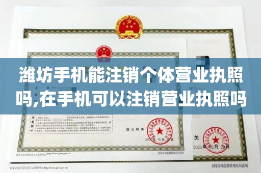 潍坊手机能注销个体营业执照吗,在手机可以注销营业执照吗