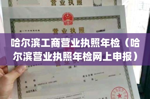 哈尔滨工商营业执照年检（哈尔滨营业执照年检网上申报）