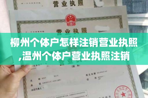 柳州个体户怎样注销营业执照,温州个体户营业执照注销