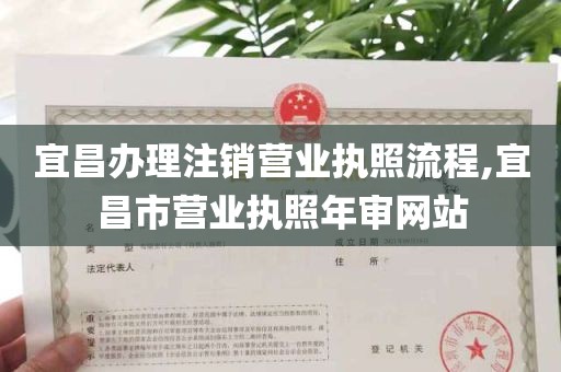 宜昌办理注销营业执照流程,宜昌市营业执照年审网站