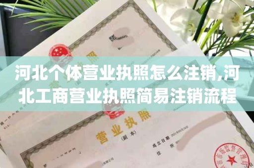 河北个体营业执照怎么注销,河北工商营业执照简易注销流程