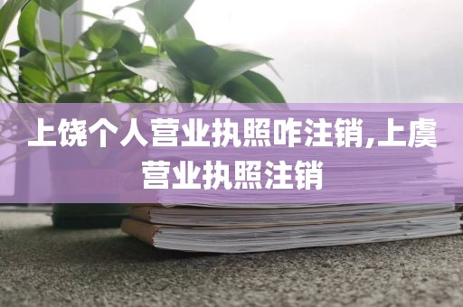 上饶个人营业执照咋注销,上虞营业执照注销