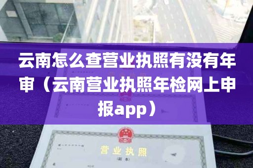 云南怎么查营业执照有没有年审（云南营业执照年检网上申报app）