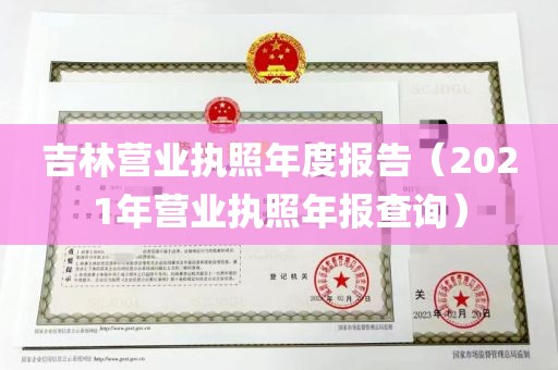 吉林营业执照年度报告（2021年营业执照年报查询）