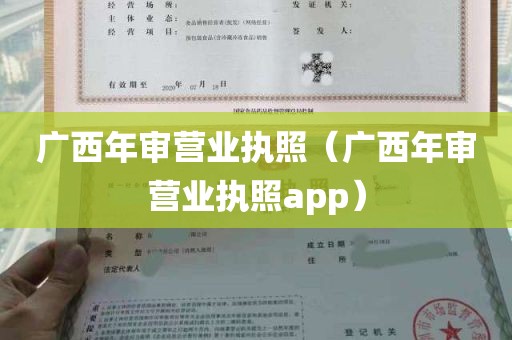 广西年审营业执照（广西年审营业执照app）