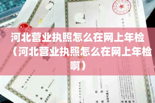 河北营业执照怎么在网上年检（河北营业执照怎么在网上年检啊）