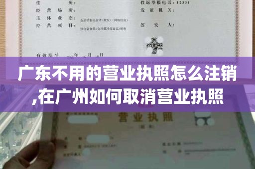 广东不用的营业执照怎么注销,在广州如何取消营业执照