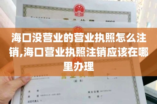 海口没营业的营业执照怎么注销,海口营业执照注销应该在哪里办理