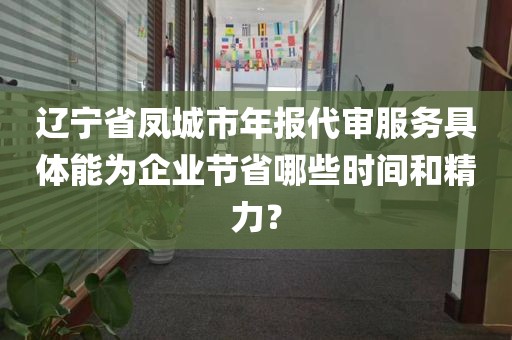 辽宁省凤城市年报代审服务具体能为企业节省哪些时间和精力？