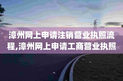 漳州网上申请注销营业执照流程,漳州网上申请工商营业执照