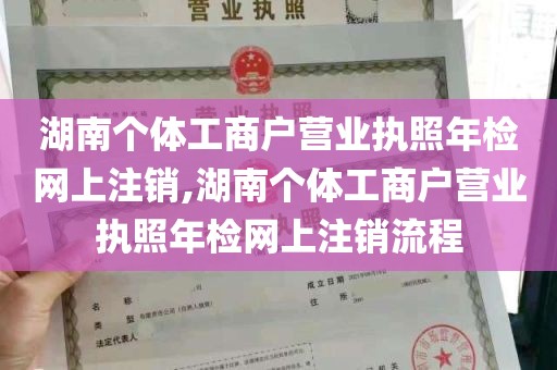 湖南个体工商户营业执照年检网上注销,湖南个体工商户营业执照年检网上注销流程