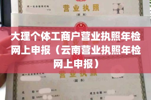 大理个体工商户营业执照年检网上申报（云南营业执照年检网上申报）