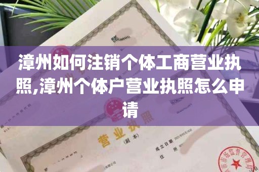 漳州如何注销个体工商营业执照,漳州个体户营业执照怎么申请