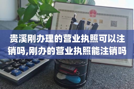 贵溪刚办理的营业执照可以注销吗,刚办的营业执照能注销吗