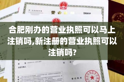 合肥刚办的营业执照可以马上注销吗,新注册的营业执照可以注销吗?