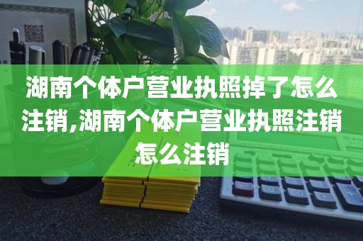 湖南个体户营业执照掉了怎么注销,湖南个体户营业执照注销怎么注销