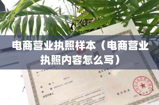 电商营业执照样本（电商营业执照内容怎么写）