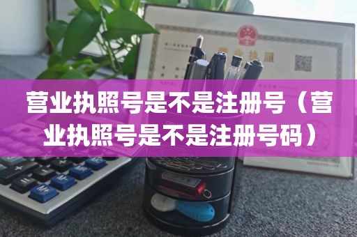 营业执照号是不是注册号（营业执照号是不是注册号码）