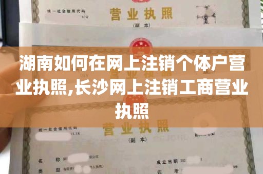 湖南如何在网上注销个体户营业执照,长沙网上注销工商营业执照