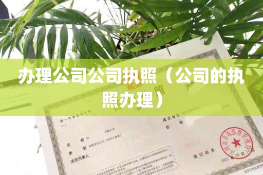 办理公司公司执照（公司的执照办理）